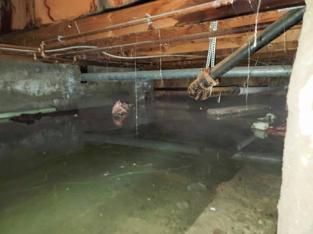 Best Commercial water damage restoration  in Midway City, CA