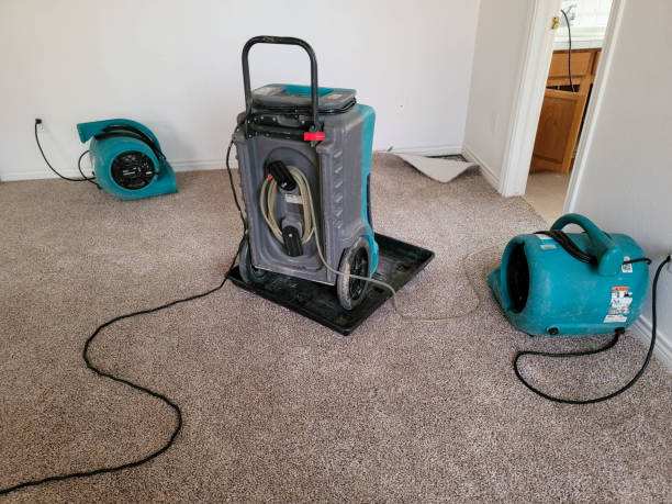 Best Water damage restoration company  in Midway City, CA