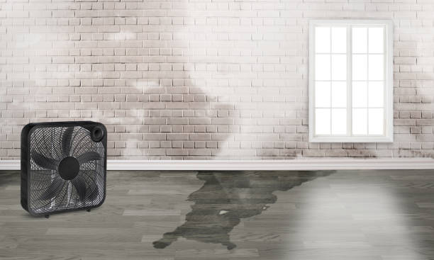 Best Water damage restoration near me  in Midway City, CA