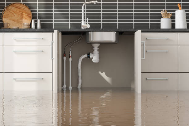 Best Flooded house restoration  in Midway City, CA